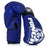 Punch Urban Boxing Gloves