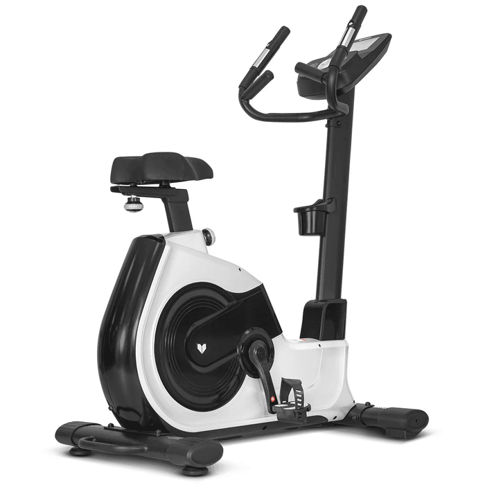 LFE02 Lifespan Fitness Commerical Exercise Bike EXC-100