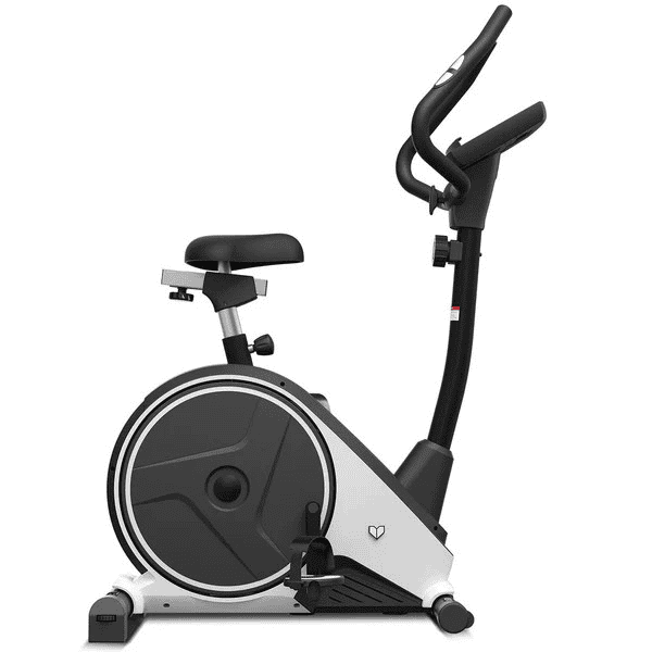 Lifespan Delta 2.0 Exercise Bike