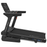 Lifespan Delta 2.1 Treadmill