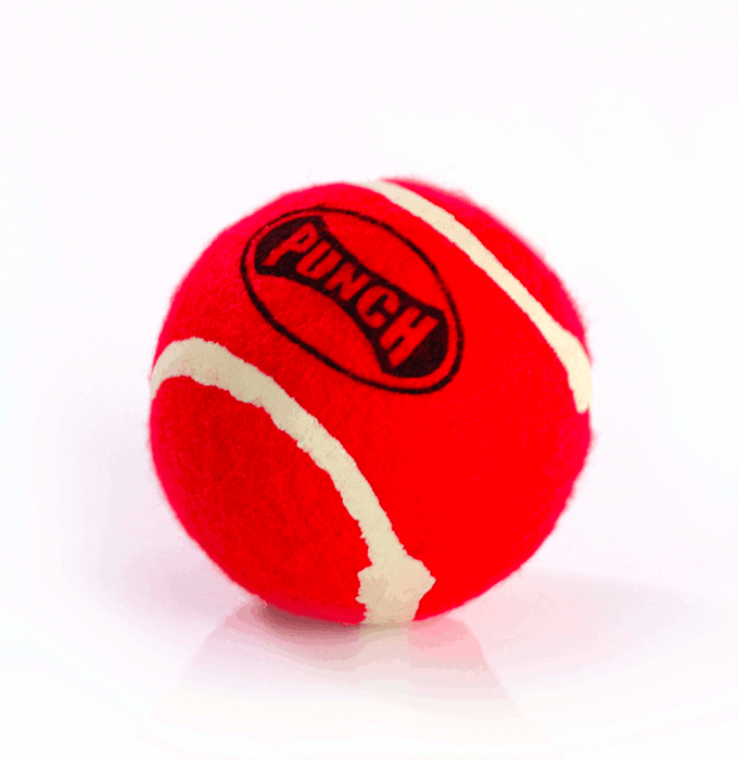 VollerFit