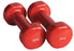 VINYL/PVC Dumbbell (PAIR)