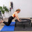 VollerFit