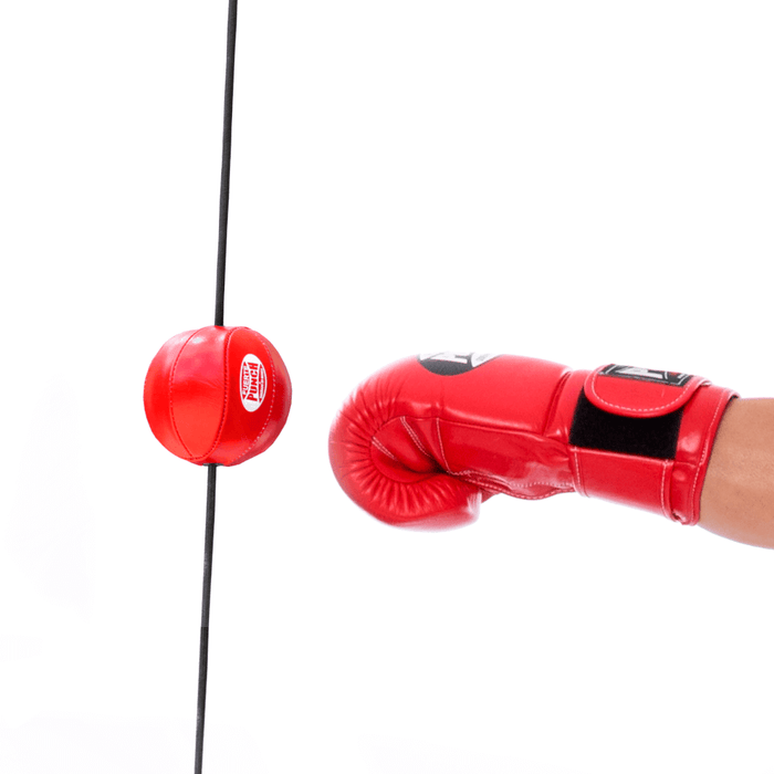 Punch Mexican Butterfly  Floor To Ceiling Ball
