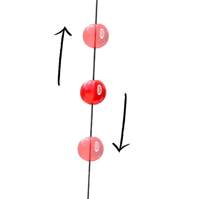 VollerFit