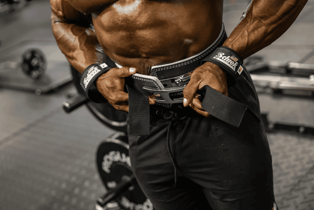 Schiek Lifting Strap - Model 1000 Basic Padded Lifting Strap