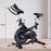 PTS RX-900 Exercise Spin Bike Cardio Cycling - Silver - Free Shipping!