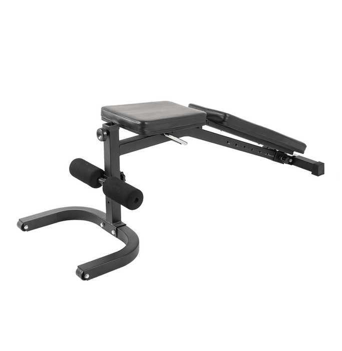 Adaptable FID Bench with Leg Developer and Preacher Curl